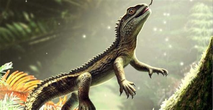The Missing Reptile: What Became Of Eli The Vanished Reptile